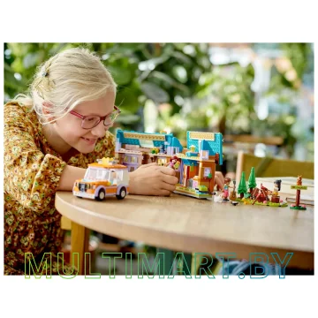 Конструктор LEGO Friends 41735 Передвижной домик картинка 11
